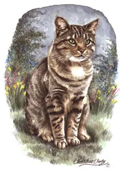 Watercolour portrait of a tabby cat sitting among wild flowers