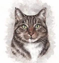 Watercolour portrait of a tabby cat's face with green eyes