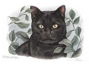 Watercolour portrait of Chloe, a black cat with green eyes, framed by leaves