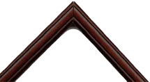 Frame Code CV1