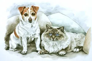Watercolour portrait of a Jack Russell and a long-haired cat sitting together on a sofa