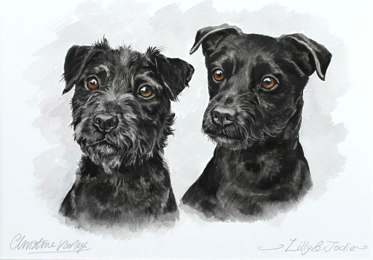 Watercolour portrait of Lilly and Jodie, two black Patterdale Terriers, side by side