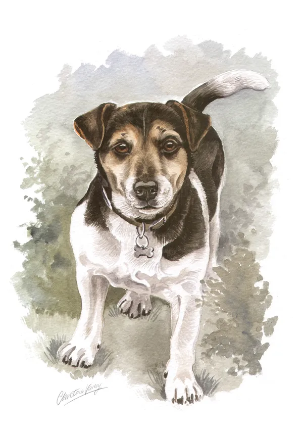 Watercolour portrait of a small black, tan and white terrier trotting towards the viewer