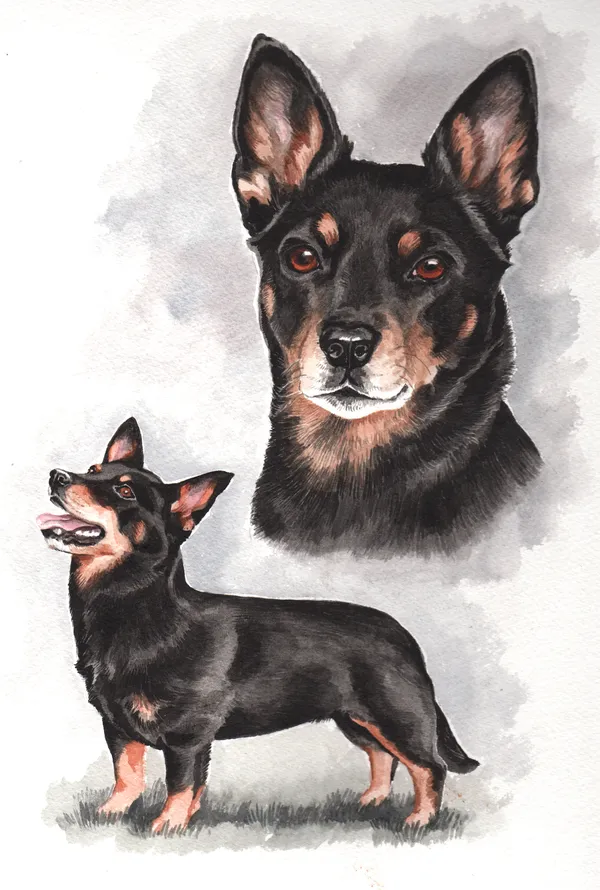 Watercolour portrait of a small black and tan dog, shown twice: a head study and standing