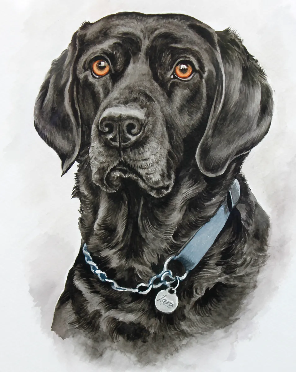 Watercolour portrait of Lara, a black dog with amber eyes and a chain collar