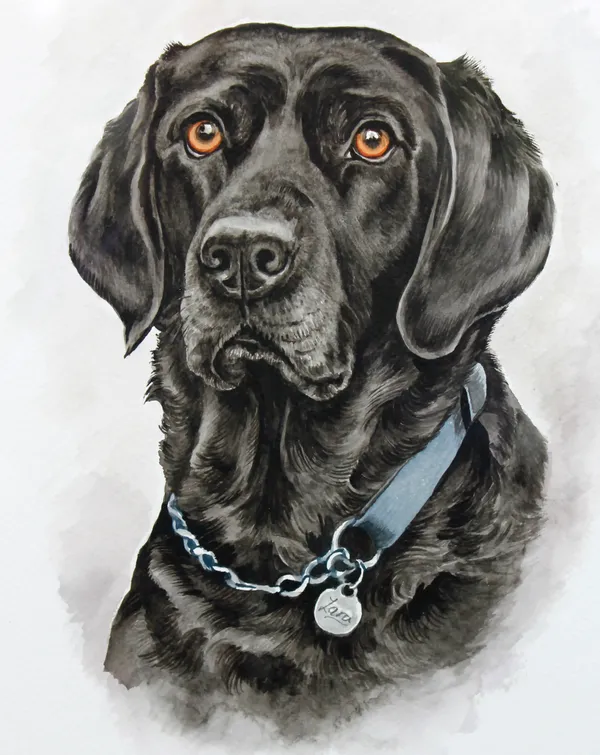 Watercolour portrait of Lara, a black dog with amber eyes and a chain collar