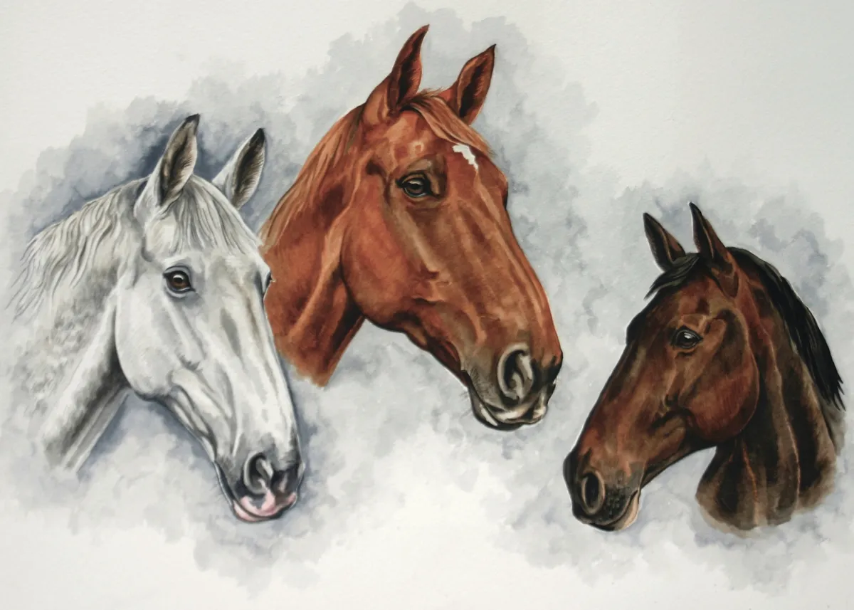 Watercolour portrait of three horses' heads: a grey, a chestnut and a dark bay