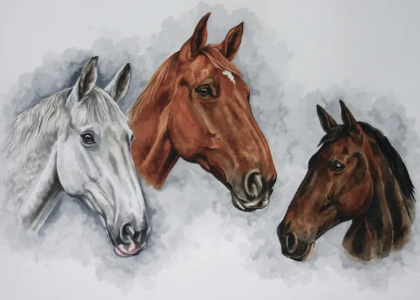 Watercolour portrait of three horses' heads: a grey, a chestnut and a dark bay