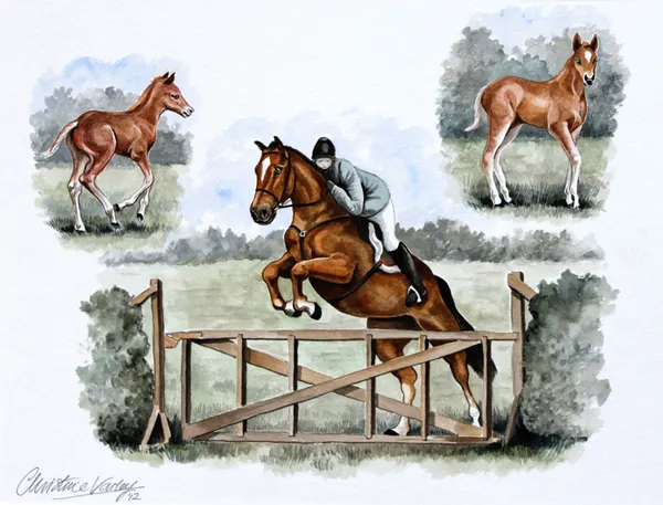 Watercolour montage of a horse jumping a gate, with two small paintings of it as a foal
