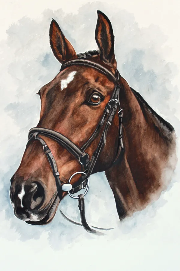 Watercolour portrait of a dark bay horse with a white star, in a bridle