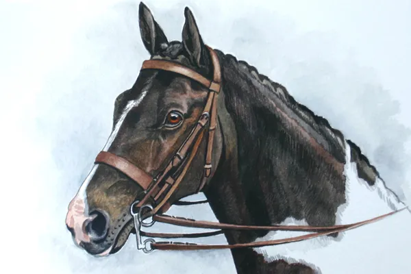 Watercolour portrait of a dark horse with white markings on its neck, in landscape format