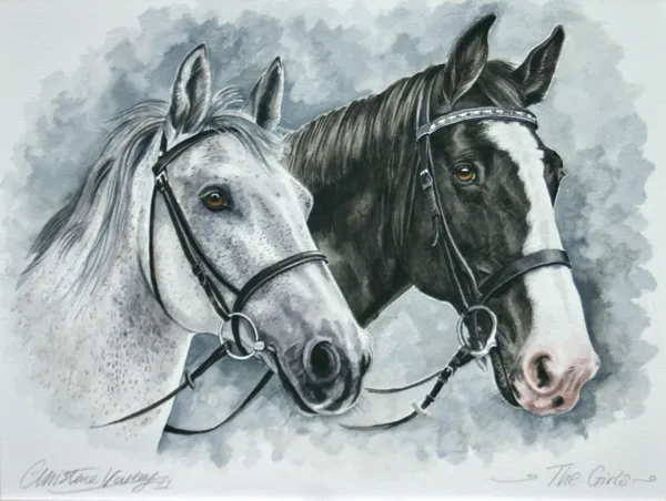 Watercolour portrait of two horses' heads in bridles: a dappled grey and a black horse with a white blaze