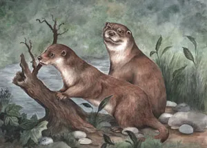 Watercolour painting of two otters on a log by the water