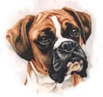 Dogs