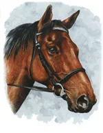 Horses